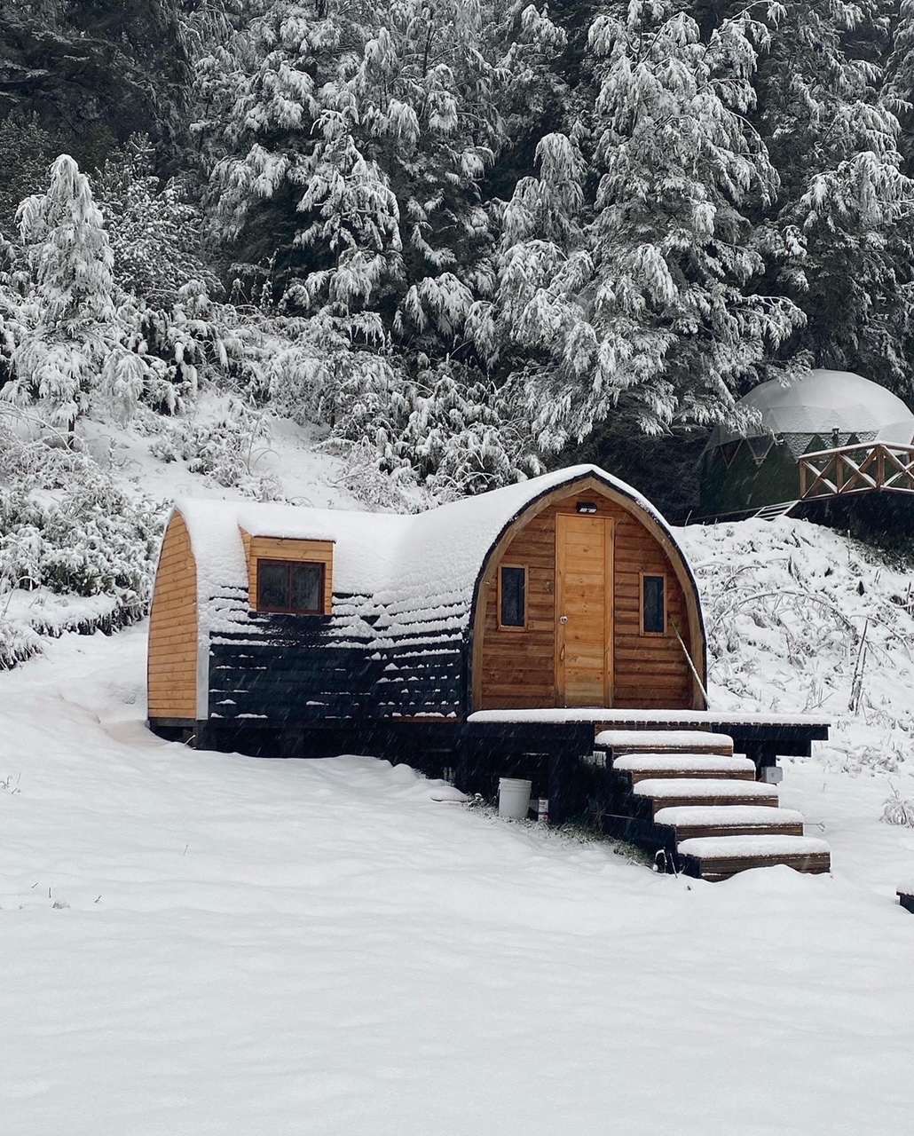 Raki invierno