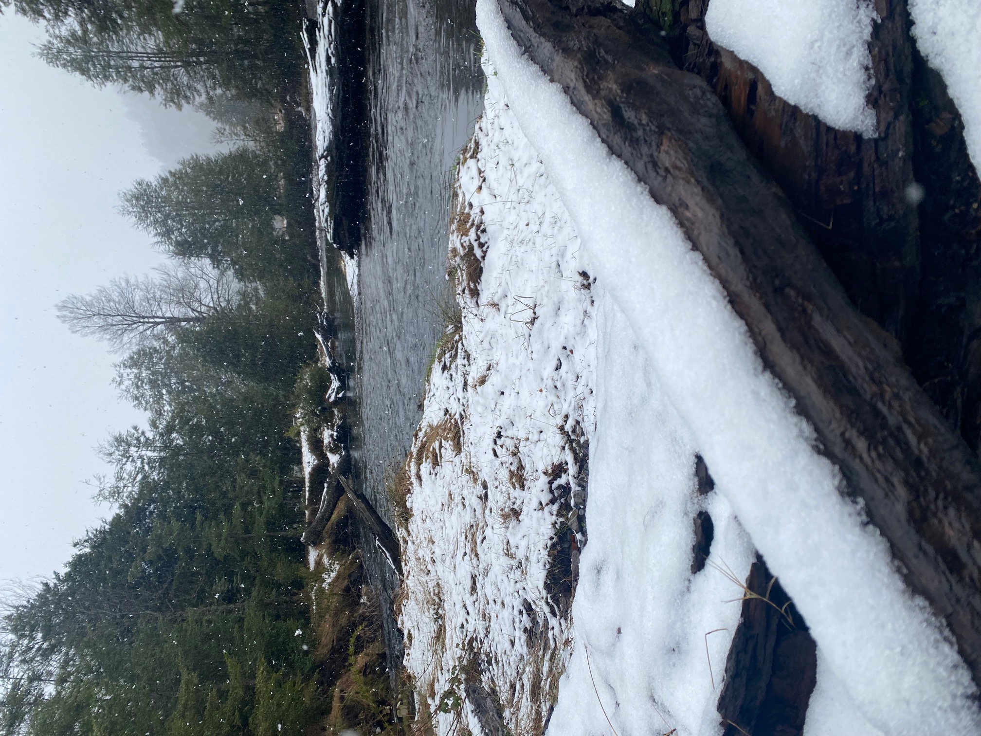 Raki invierno