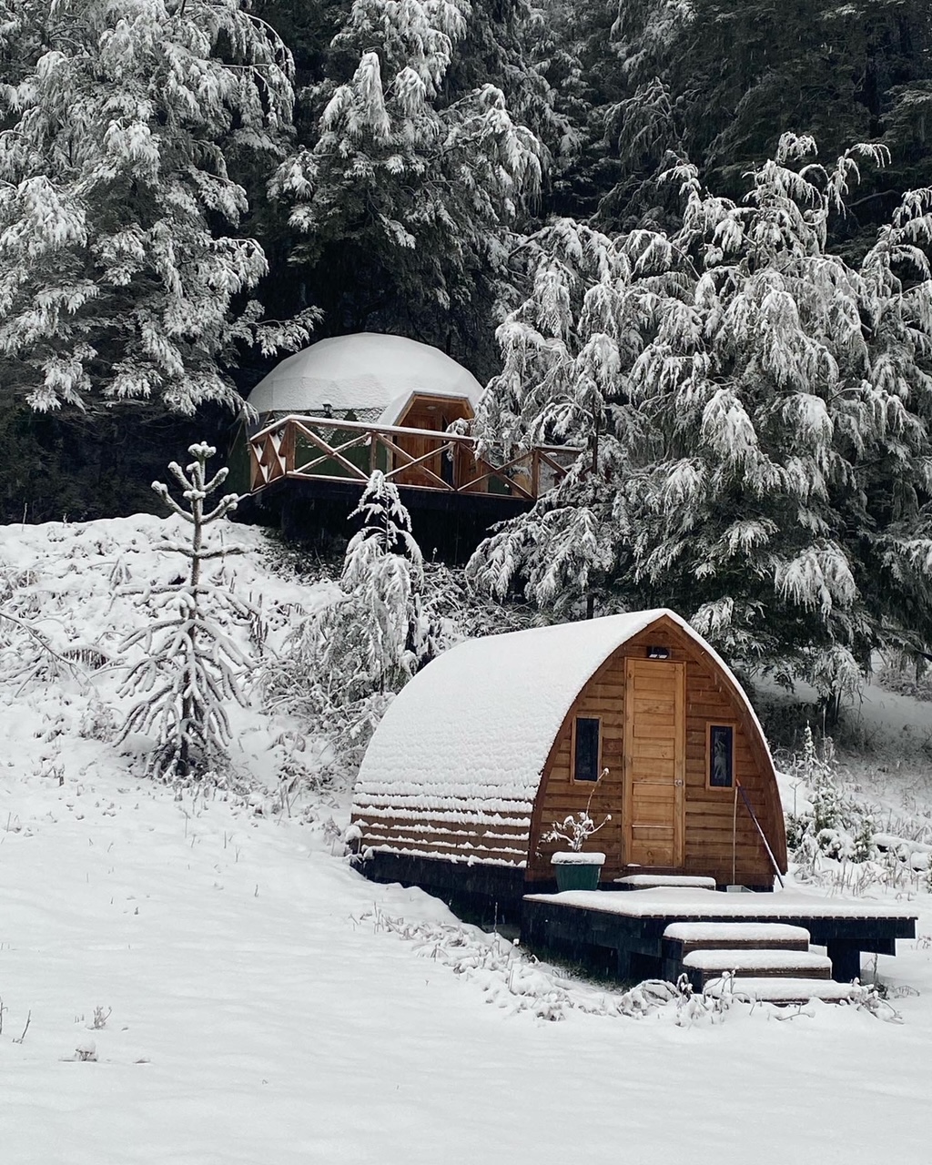 Raki invierno